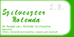 szilveszter molenda business card